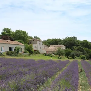 Les Anes De 3*, Forcalquier Frankreich